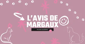 Felins-Academie-avis-de-margaux-litière chats