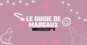 Felins Académie le guide de margaux